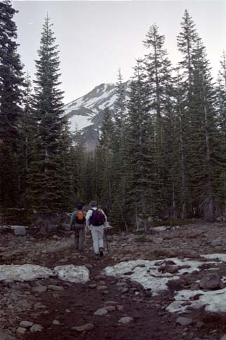 Mt Shasta