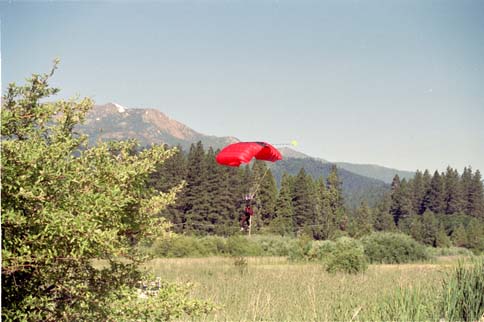 Mt Shasta Run/Walk