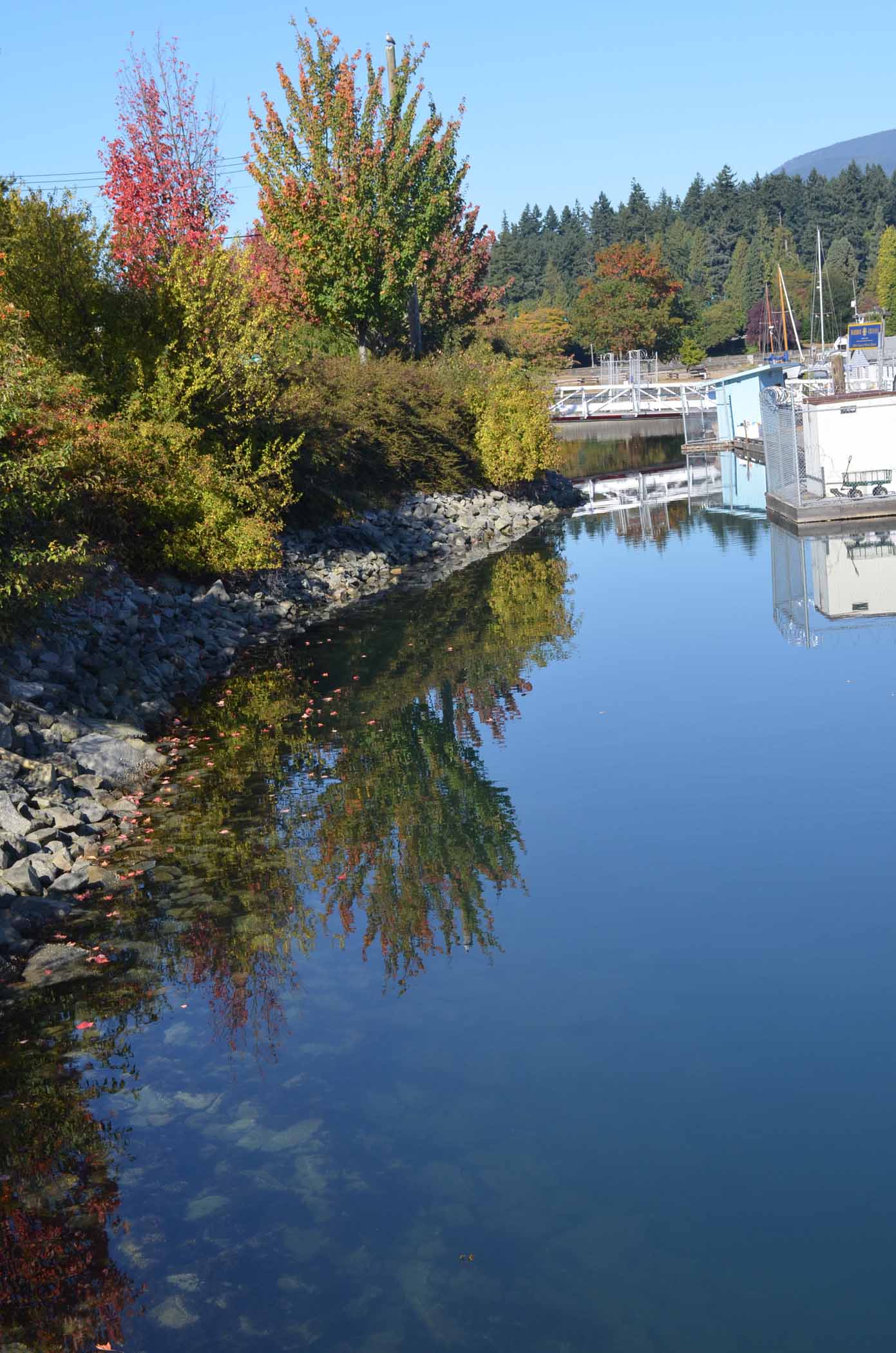 Vancouver Devonian Harbour Park