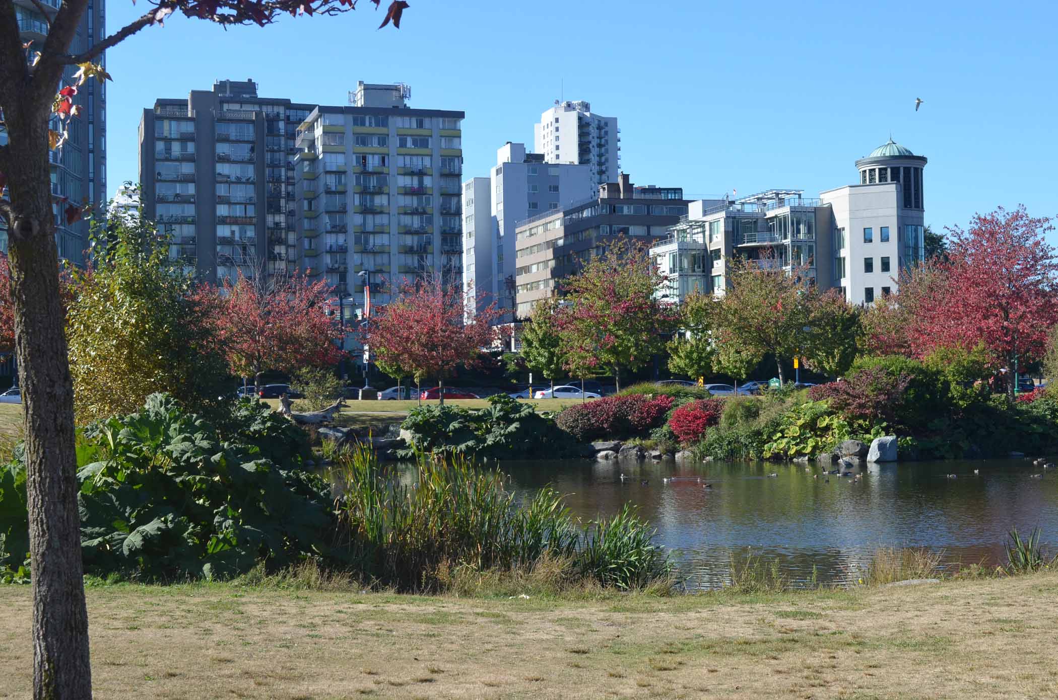 Vancouver Devonian Harbour Park