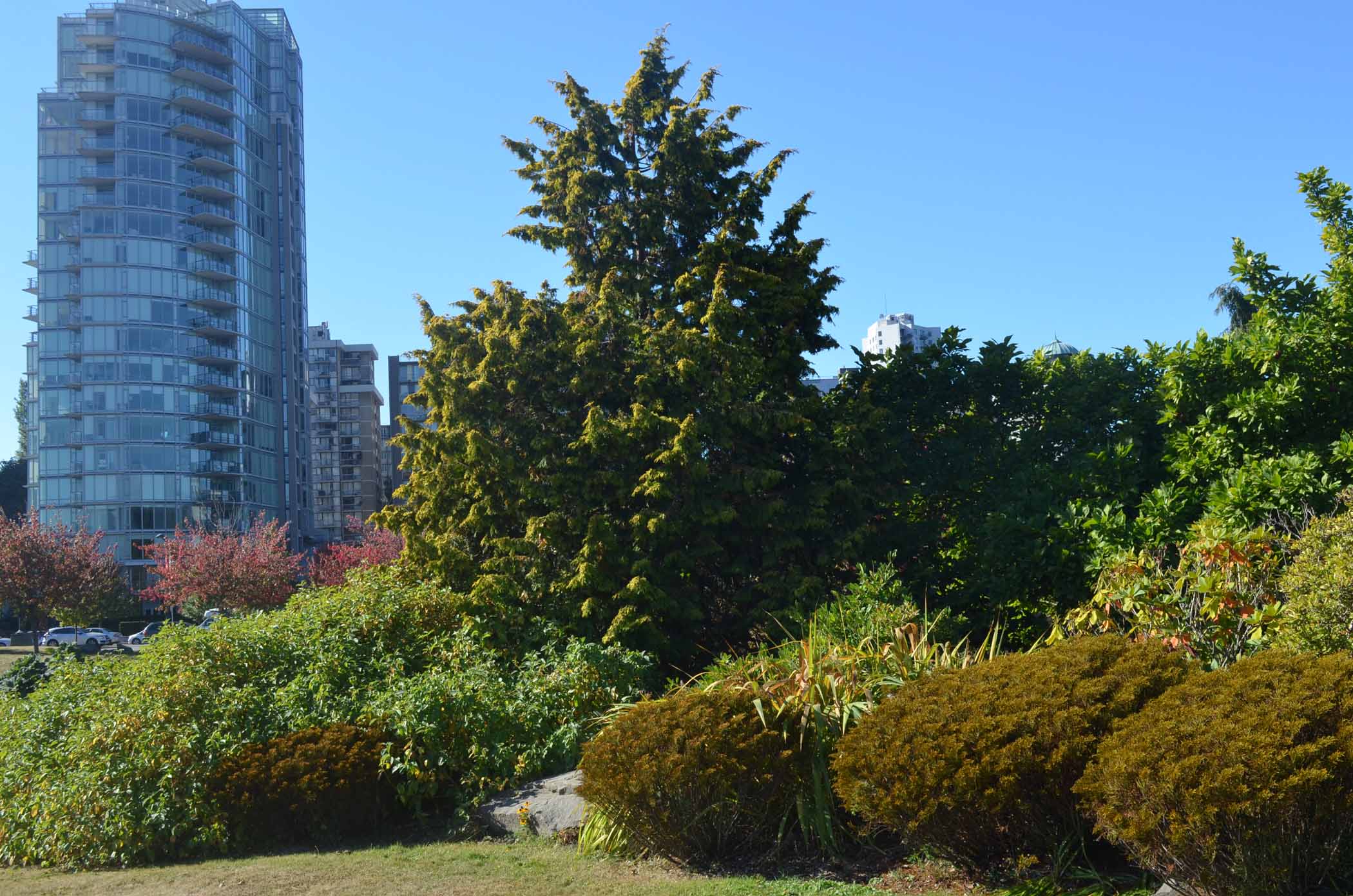 Vancouver Devonian Harbour Park