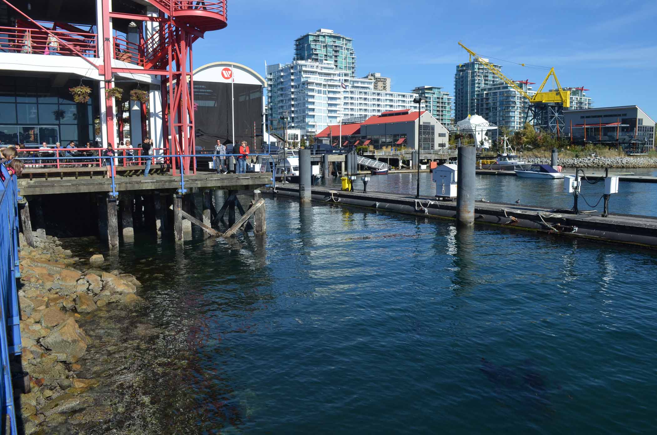 Q Market in North Vancouver