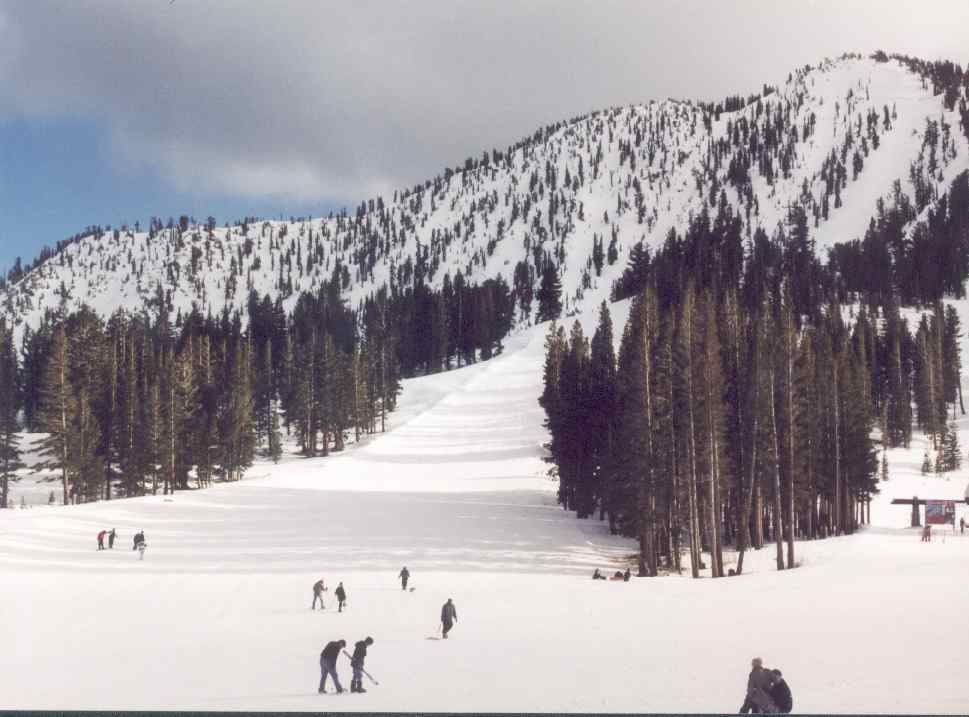 Mount Rose