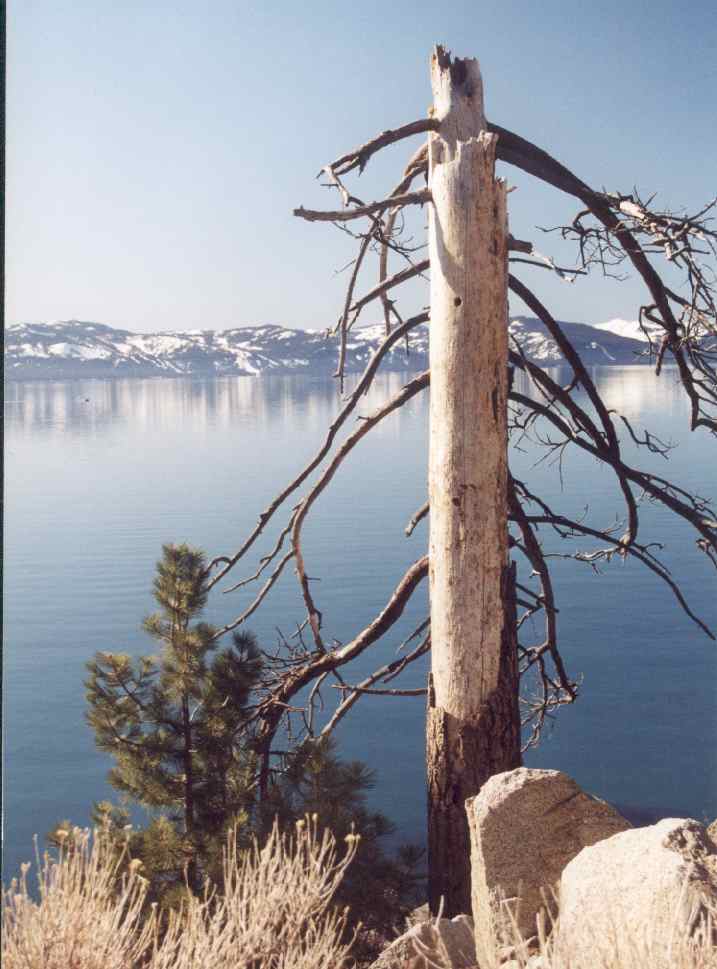 Lake Tahoe